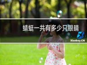 蜻蜓一共有多少只眼睛