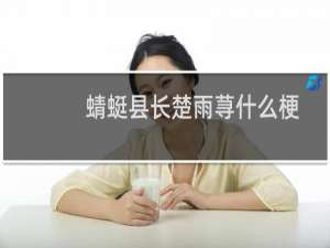 蜻蜓县长楚雨荨什么梗