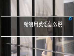 蜻蜓用英语怎么说