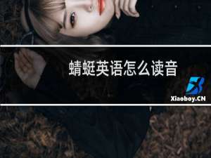 蜻蜓英语怎么读音