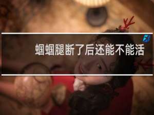 蝈蝈腿断了后还能不能活