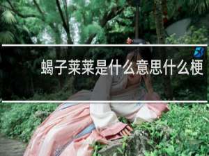 蝎子莱莱是什么意思什么梗