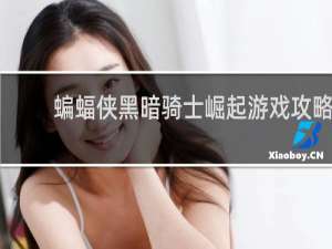蝙蝠侠黑暗骑士崛起游戏攻略
