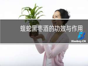 蝮蛇黑枣酒的功效与作用