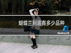 蝴蝶兰到底有多少品种