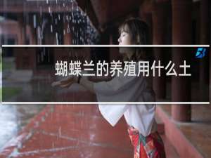 蝴蝶兰的养殖用什么土