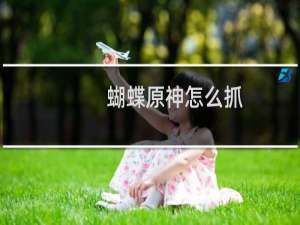 蝴蝶原神怎么抓