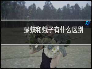蝴蝶和蛾子有什么区别
