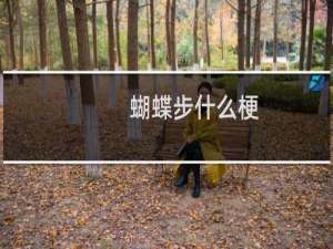 蝴蝶步什么梗