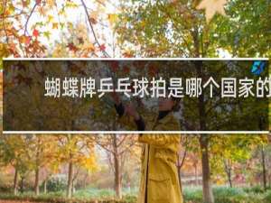 蝴蝶牌乒乓球拍是哪个国家的