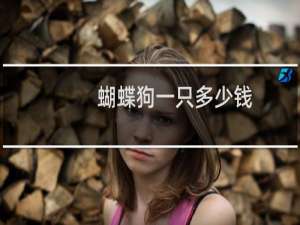 蝴蝶狗一只多少钱（蝴蝶狗）
