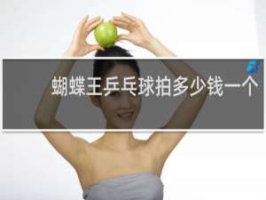 蝴蝶王乒乓球拍多少钱一个