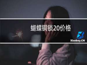 蝴蝶铜锁 价格