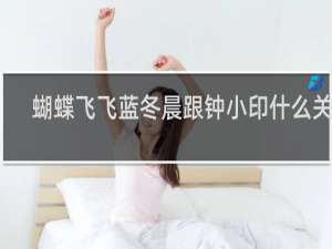 蝴蝶飞飞蓝冬晨跟钟小印什么关系