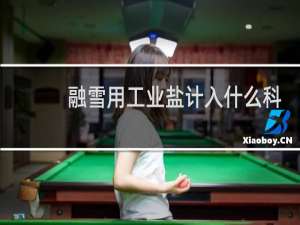 融雪用工业盐计入什么科目