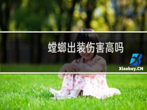 螳螂出装伤害高吗