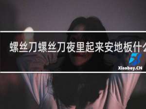 螺丝刀螺丝刀夜里起来安地板什么梗