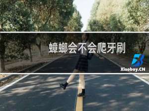 蟑螂会不会爬牙刷