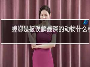 蟑螂是被误解最深的动物什么梗