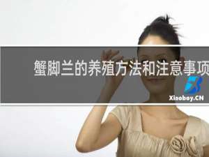 蟹脚兰的养殖方法和注意事项