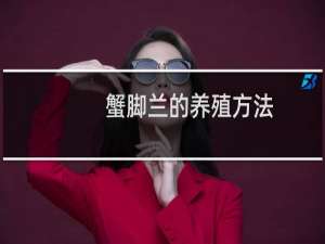 蟹脚兰的养殖方法