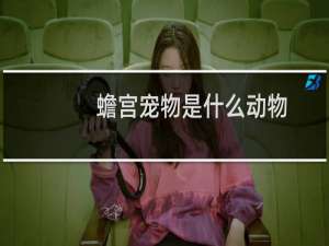 蟾宫宠物是什么动物