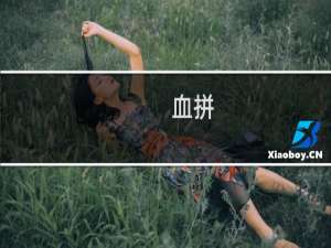 血拼