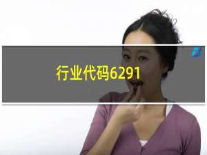 行业代码6291（行业代码是什么）