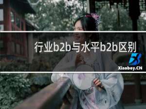 行业b2b与水平b2b区别