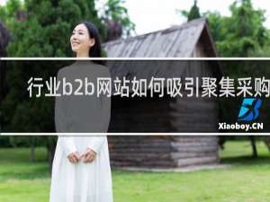行业b2b网站如何吸引聚集采购商