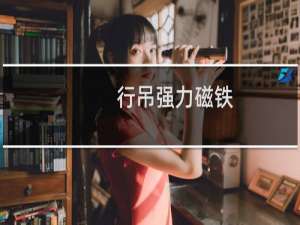 行吊强力磁铁