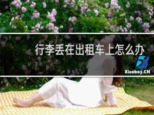 行李丢在出租车上怎么办