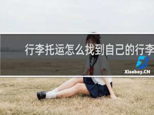行李托运怎么找到自己的行李