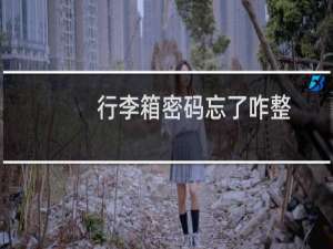 行李箱密码忘了咋整
