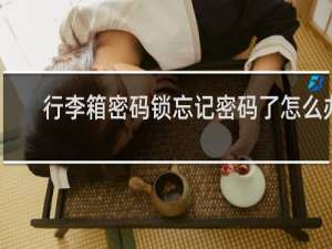 行李箱密码锁忘记密码了怎么办