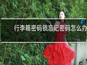 行李箱密码锁忘记密码怎么办