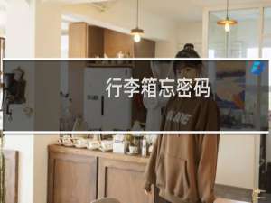 行李箱忘密码