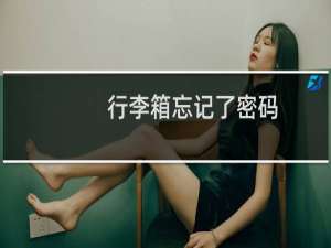 行李箱忘记了密码