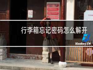 行李箱忘记密码怎么解开
