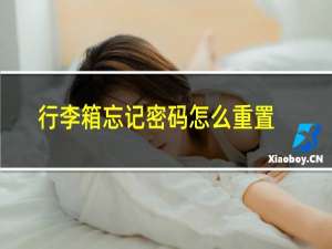 行李箱忘记密码怎么重置