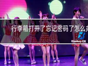 行李箱打开了忘记密码了怎么办