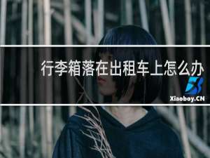 行李箱落在出租车上怎么办