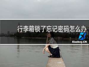 行李箱锁了忘记密码怎么办