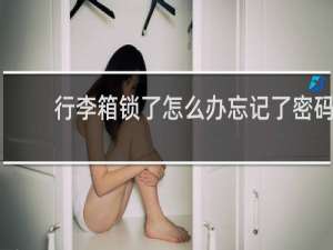 行李箱锁了怎么办忘记了密码