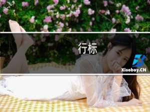 行标