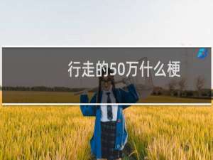 行走的50万什么梗