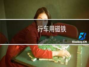 行车用磁铁