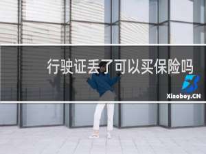 行驶证丢了可以买保险吗