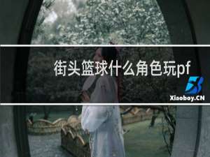 街头篮球什么角色玩pf