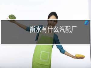 衡水有什么汽配厂